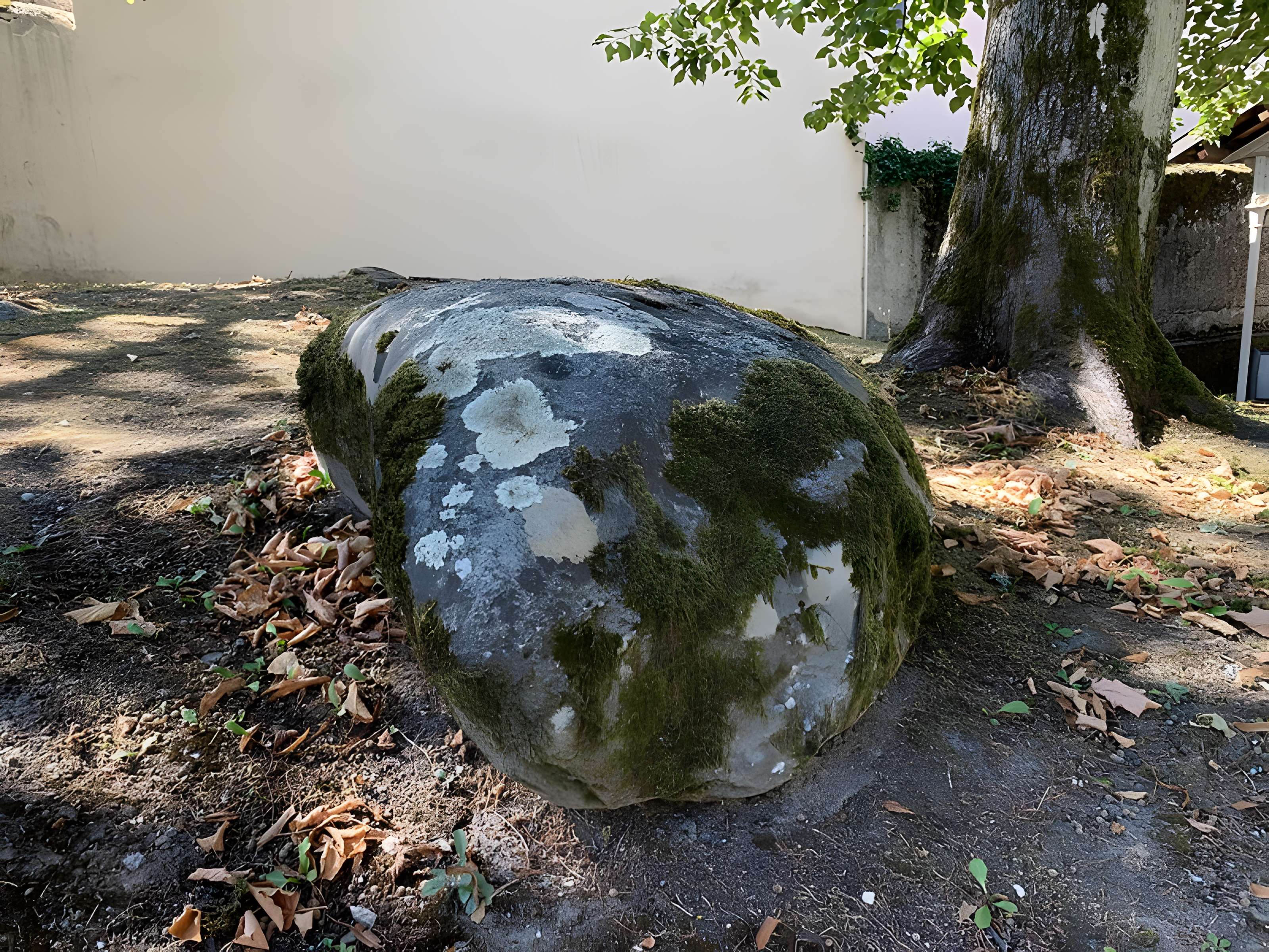 Pierre à cupules de Magnieu à Belley