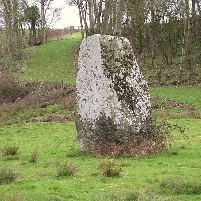 Photo de Pierre de la Hauberie dUssy