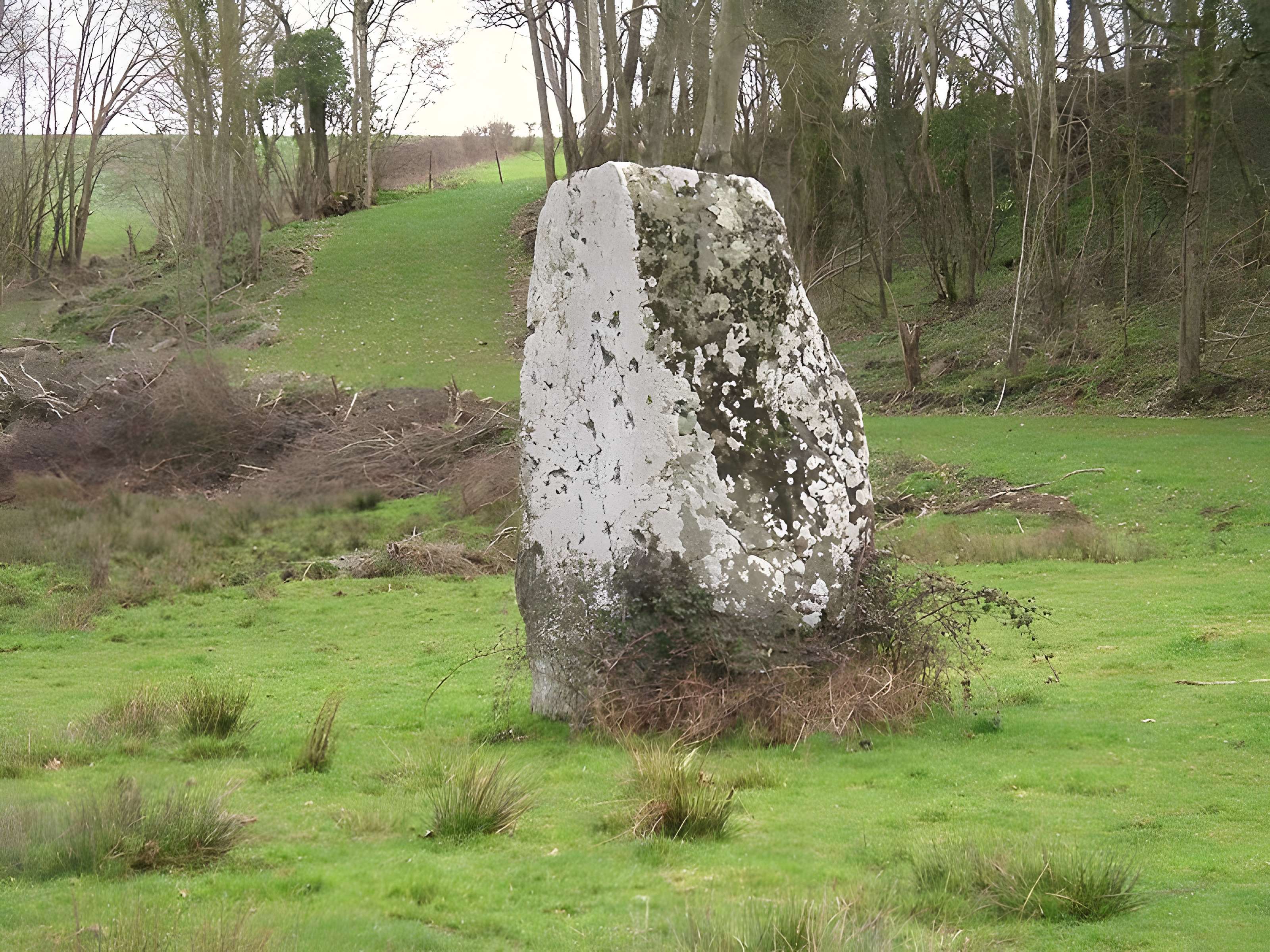 Pierre de la Hauberie d'Ussy 