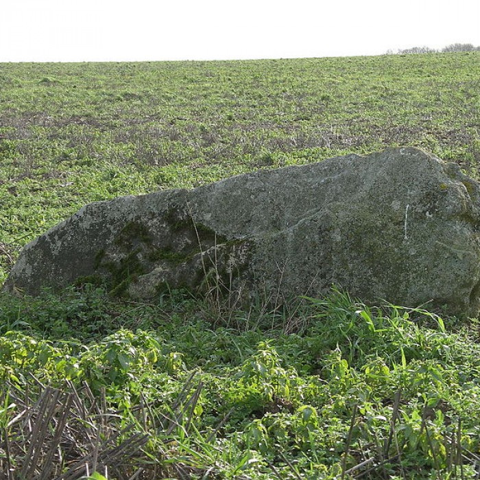 Photo de Pierre debout de Reviers