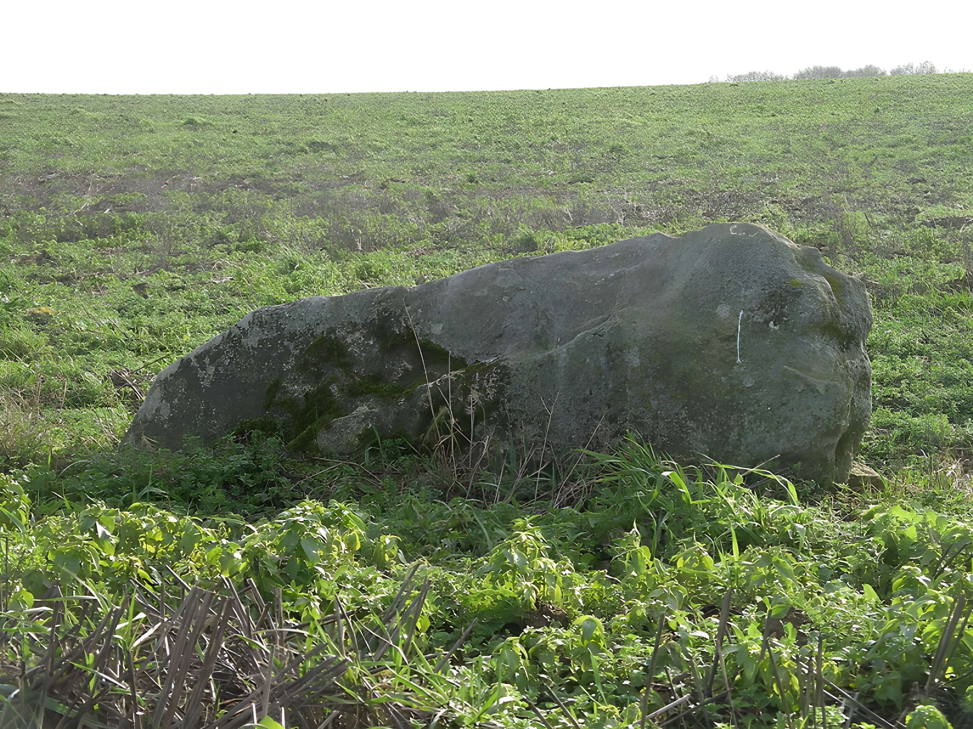 Pierre debout de Reviers 