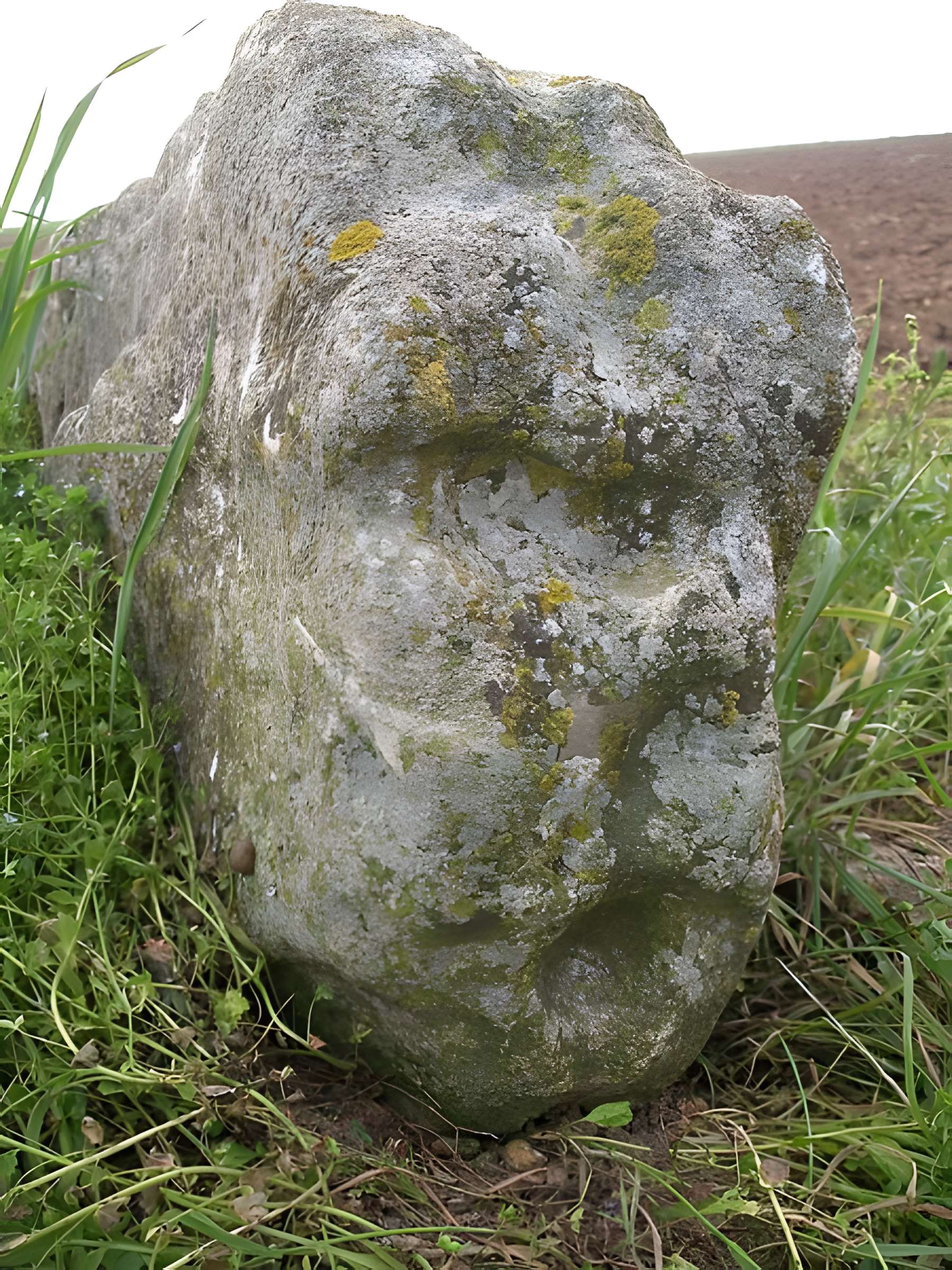 Pierre debout de Reviers