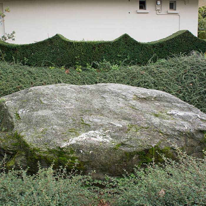 Photo de Pierre des Sacrifices de Thonon-les-Bains