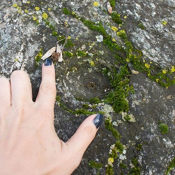 Pierre des Sacrifices de Thonon-les-Bains