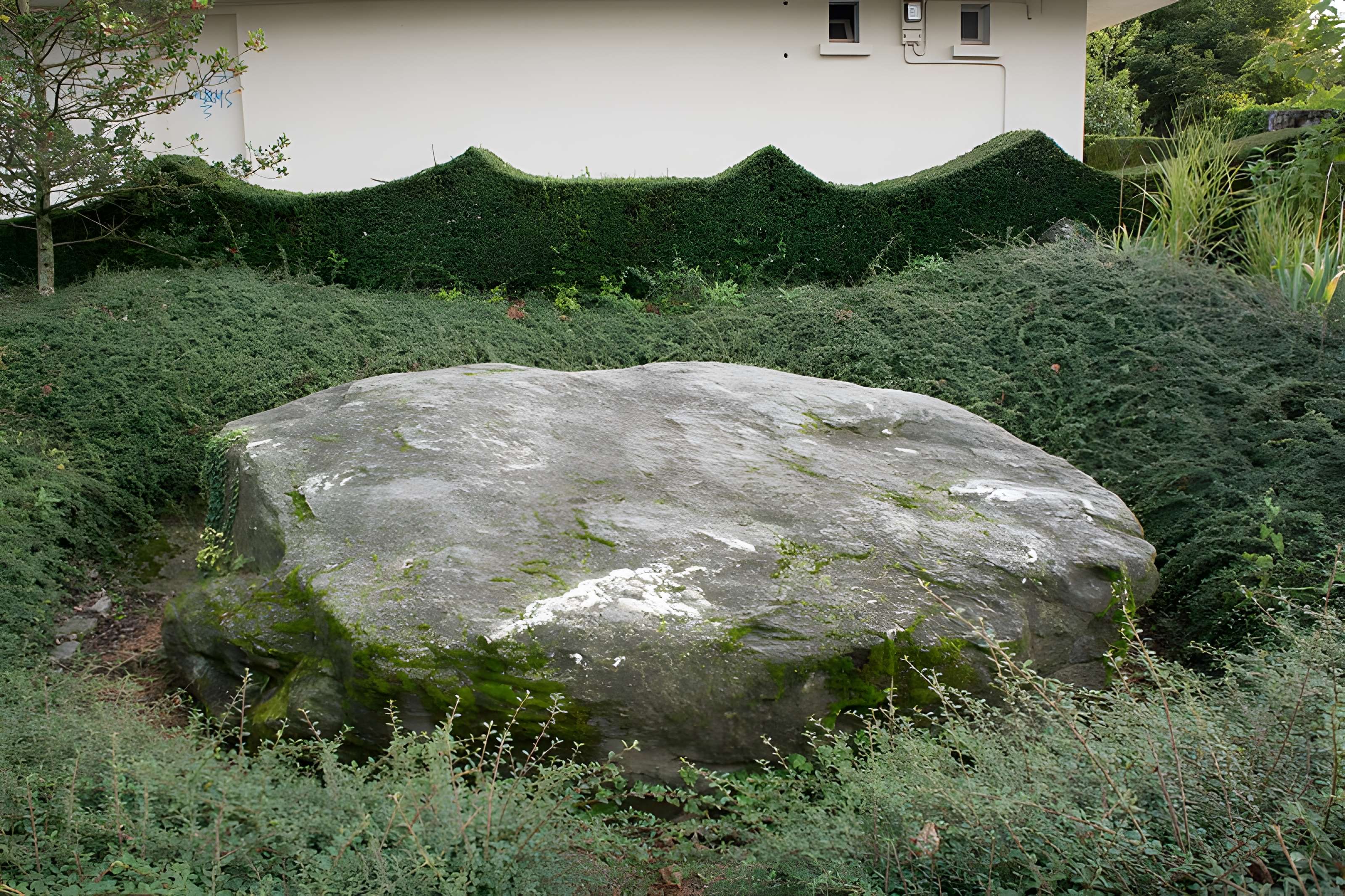 Pierre des Sacrifices de Thonon-les-Bains 