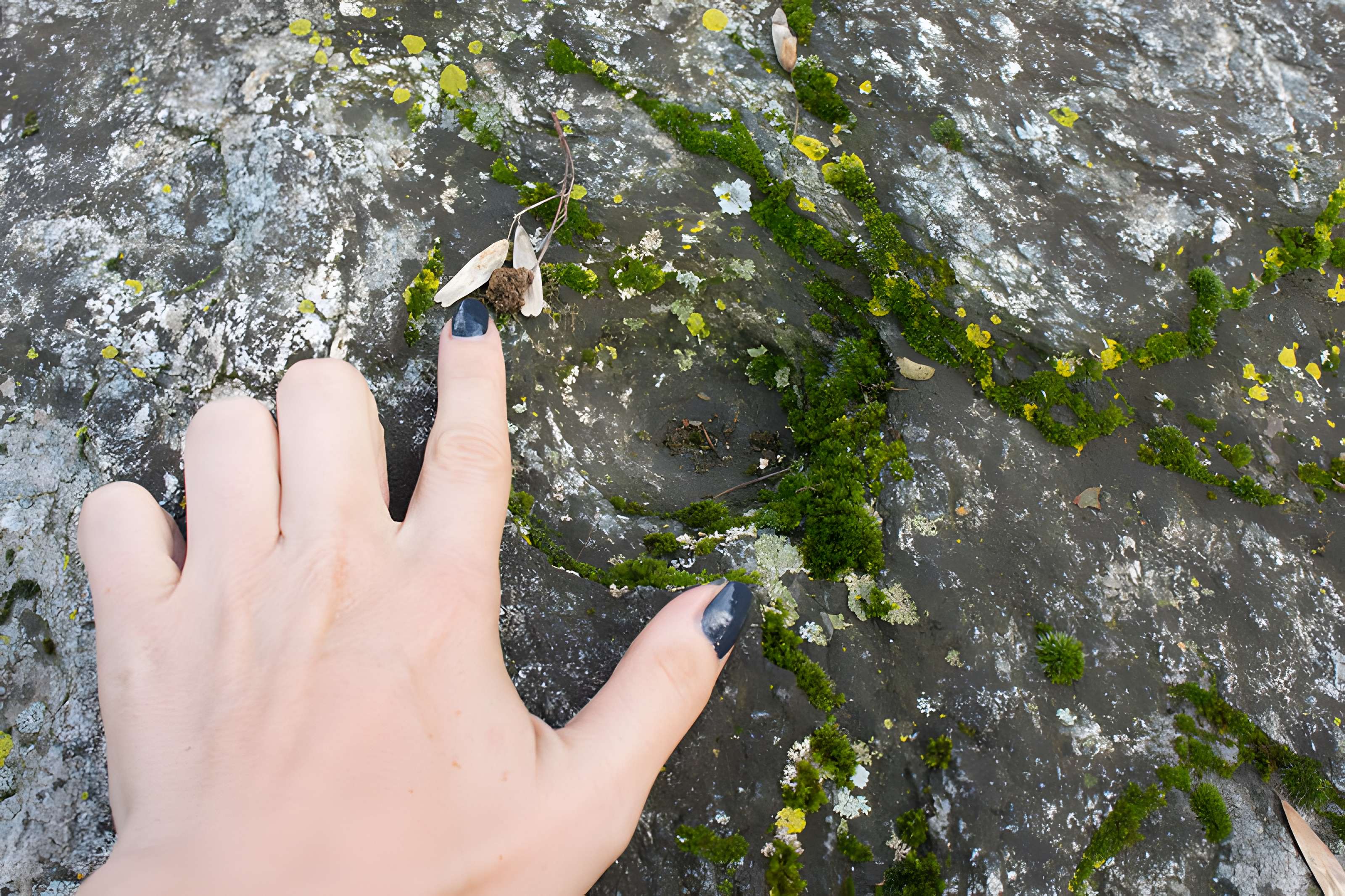 Pierre des Sacrifices de Thonon-les-Bains