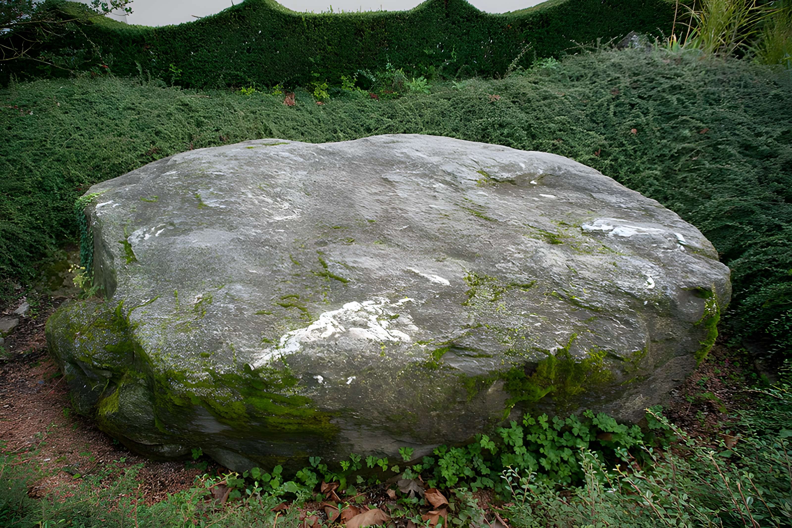 Pierre des Sacrifices de Thonon-les-Bains