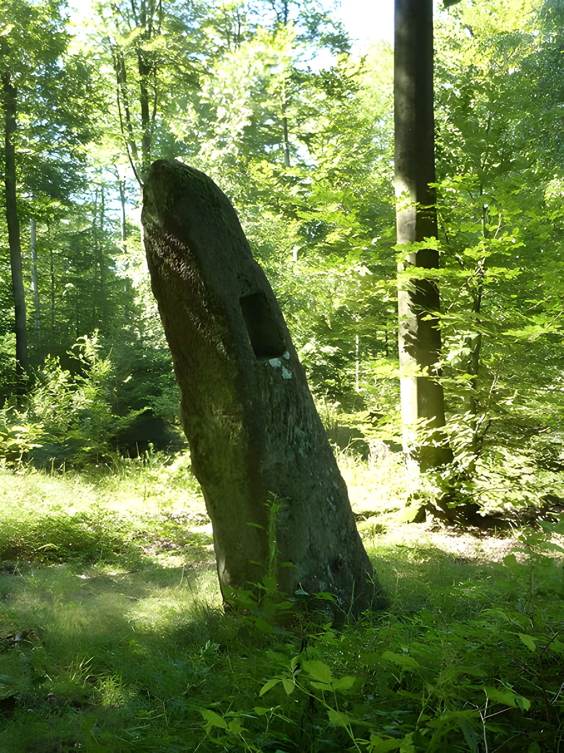 Pierre des trois Pierre de Meisenthal à Rosteig 