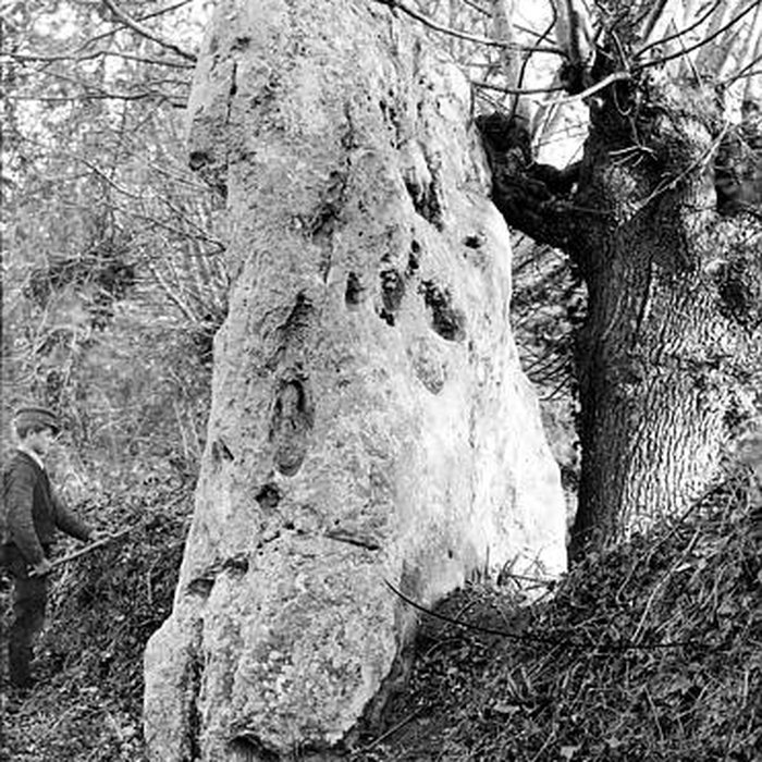 Photo de Pierre Fiche de Duneau