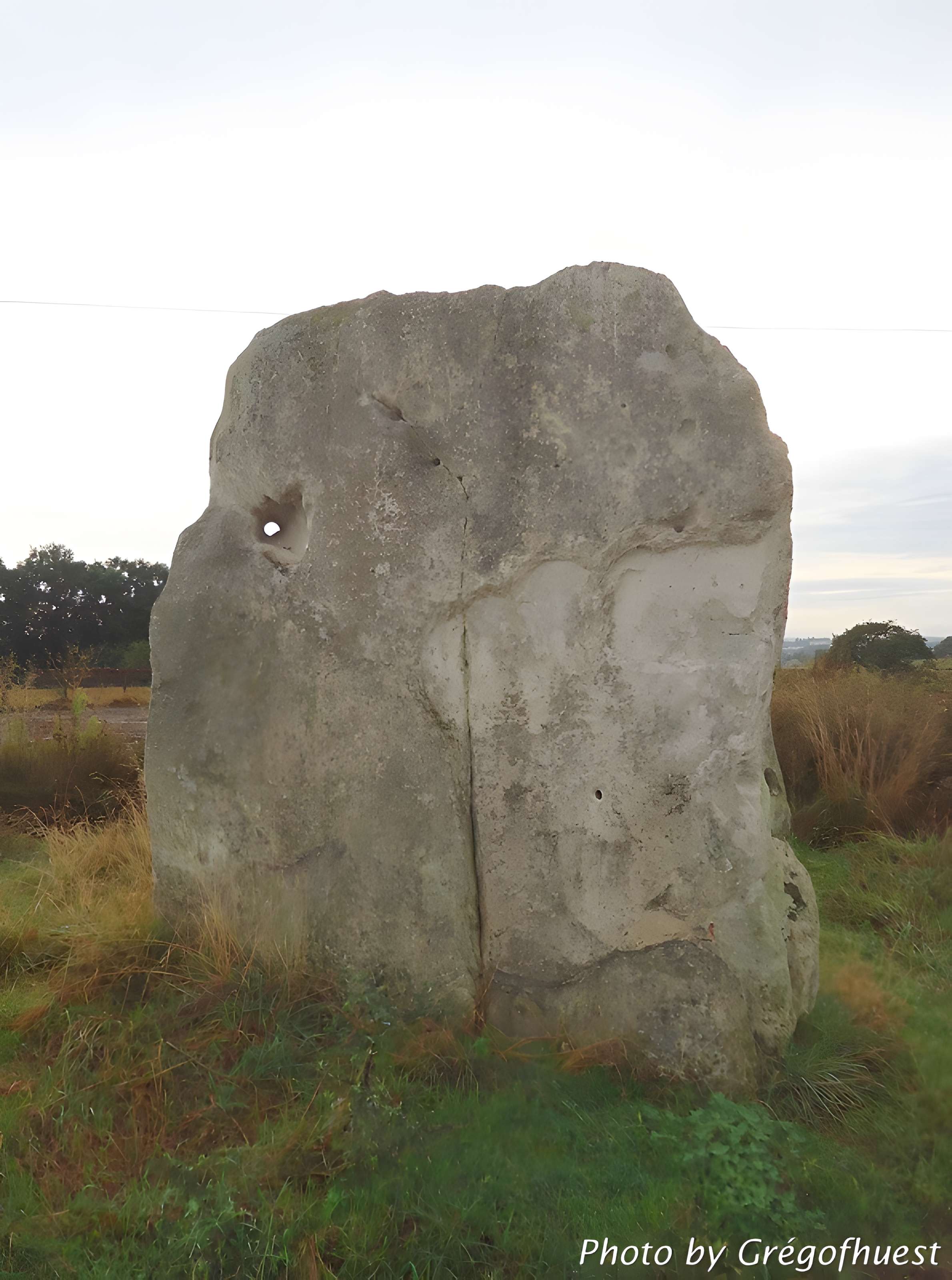 Pierre Fiche de Duneau 