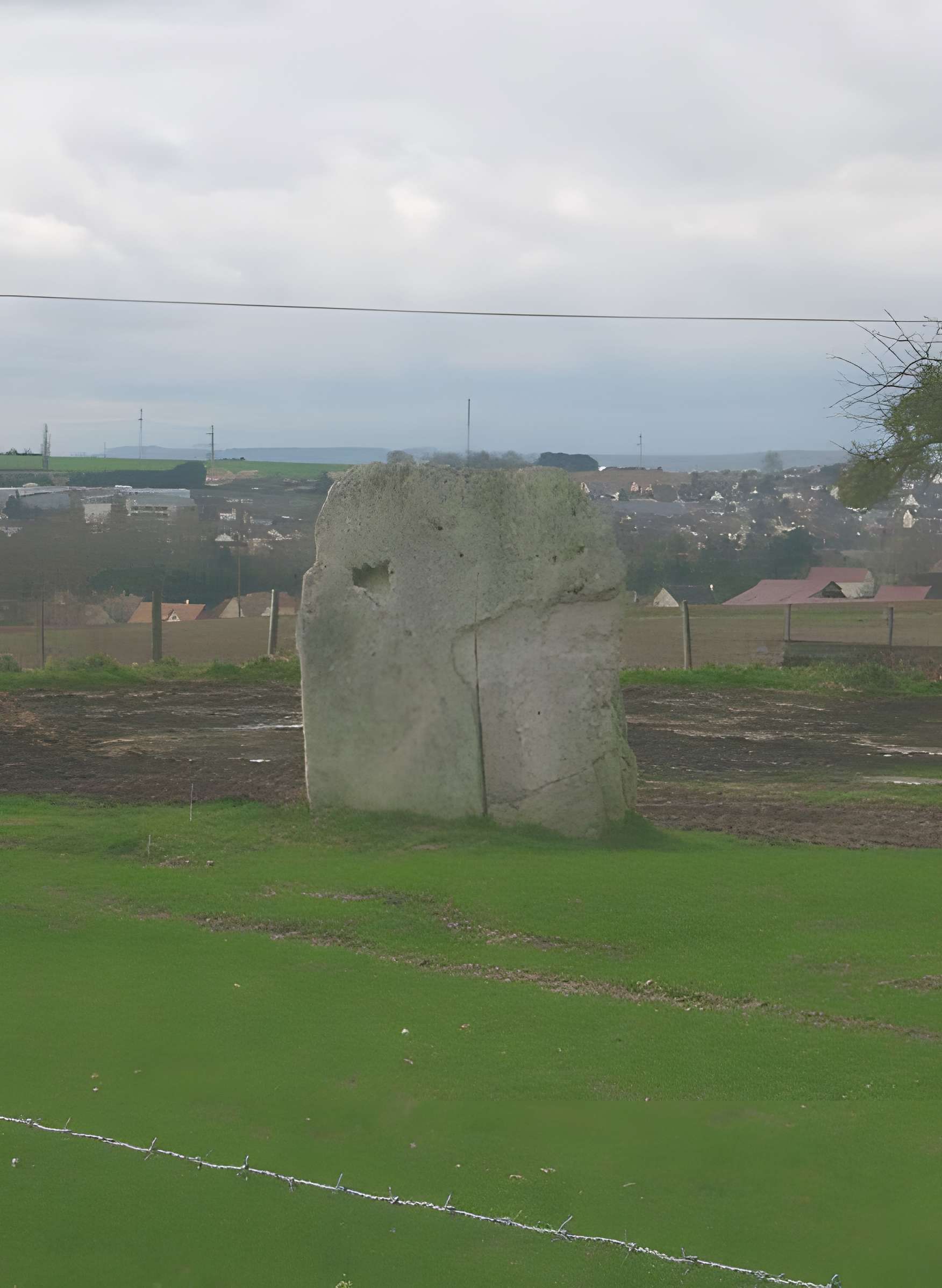 Pierre Fiche de Duneau