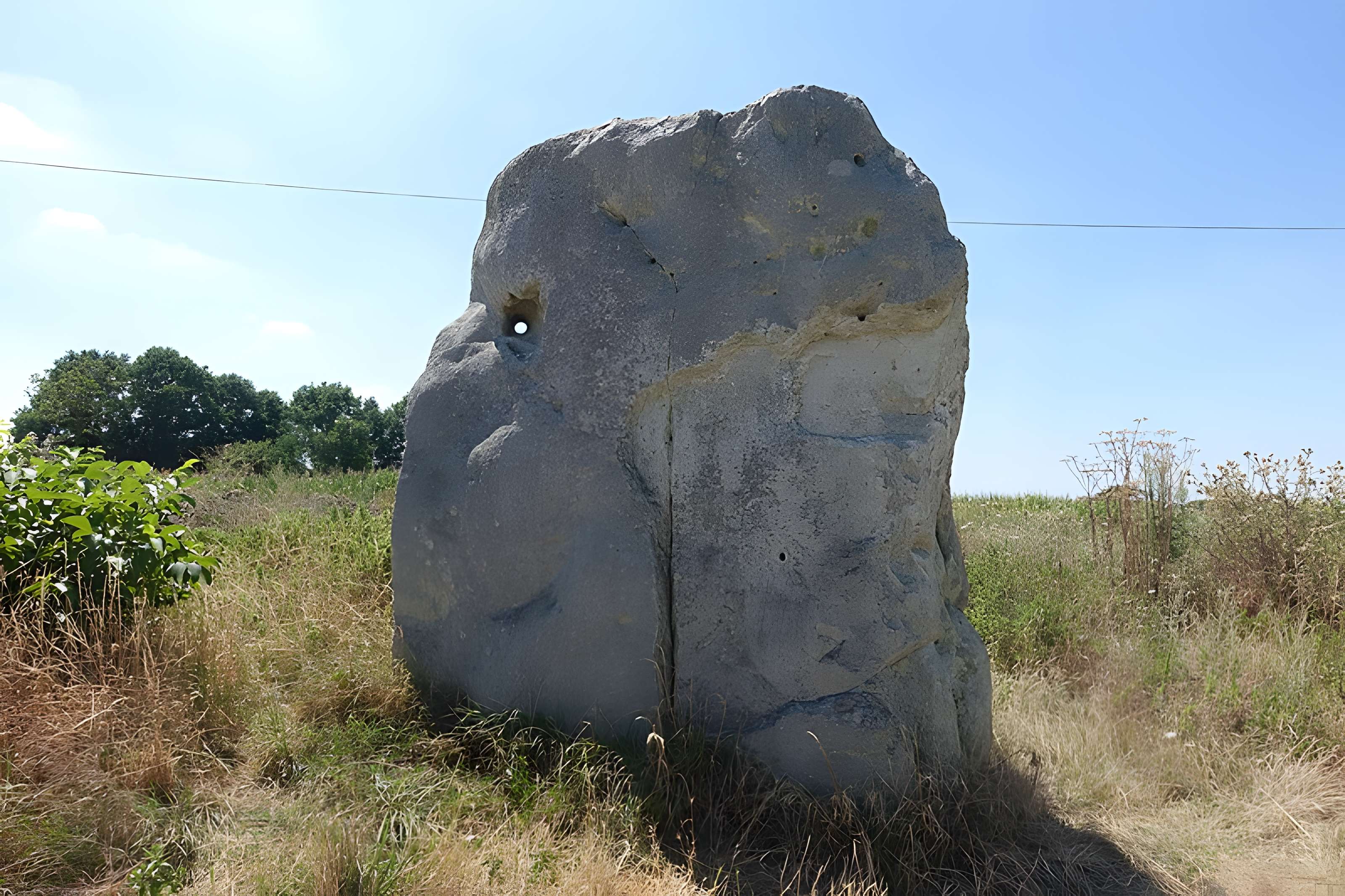 Pierre Fiche de Duneau