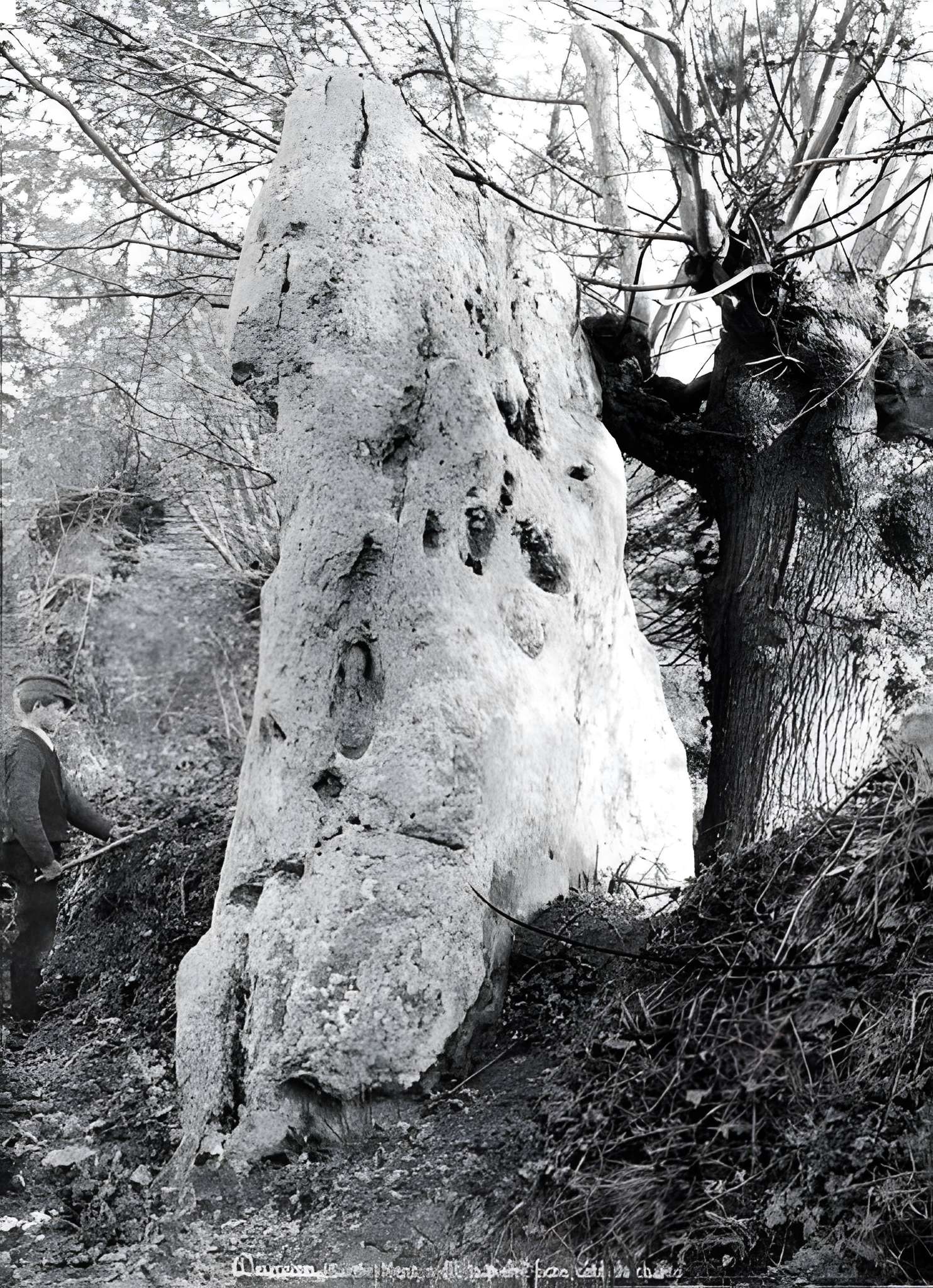 Pierre Fiche de Duneau