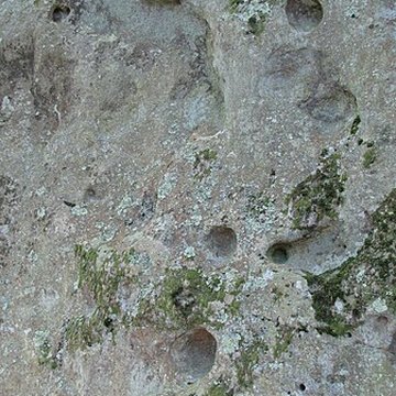 Pierre levée de Silly-en-Gouffern