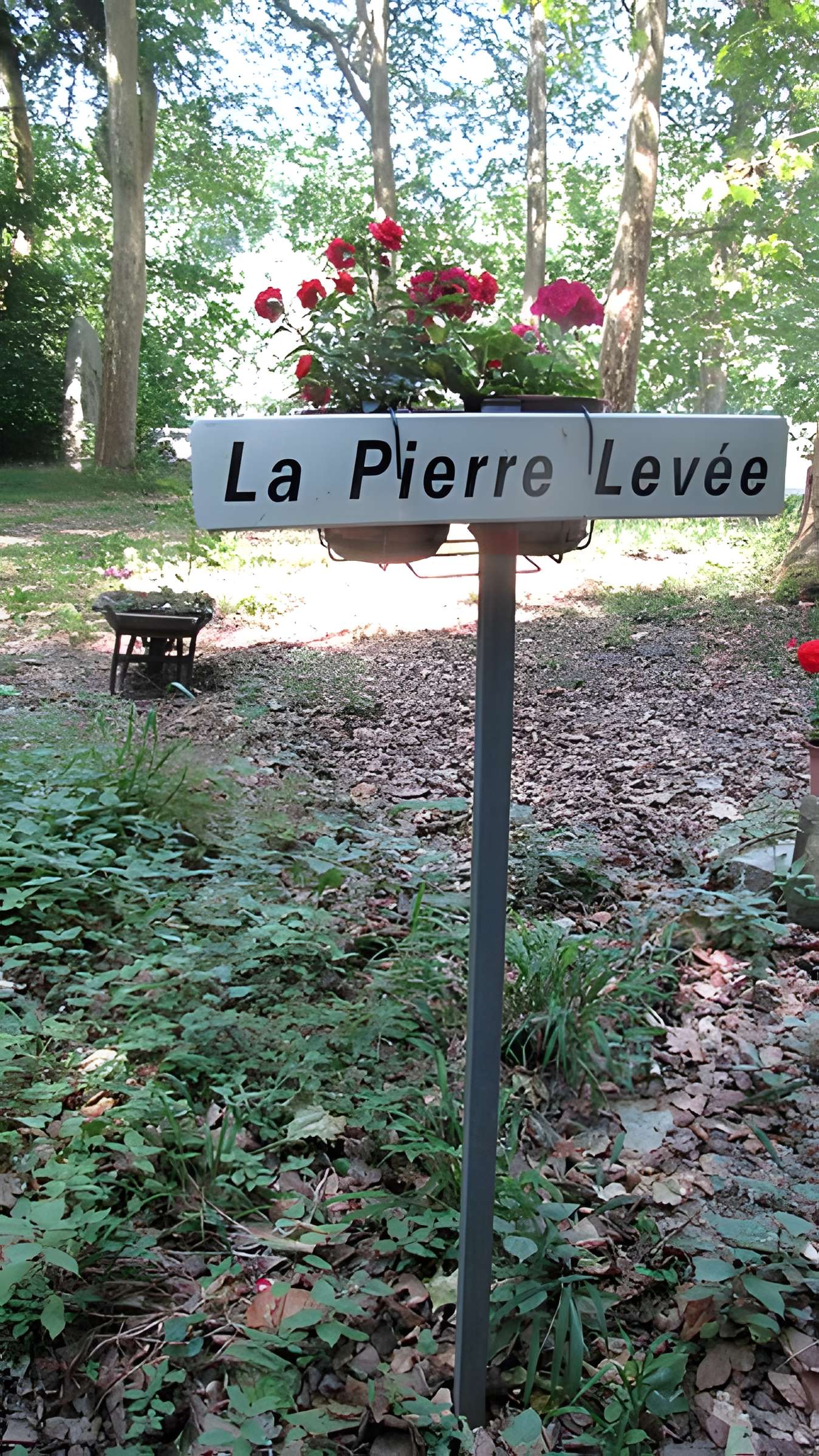 Pierre levée de Silly-en-Gouffern