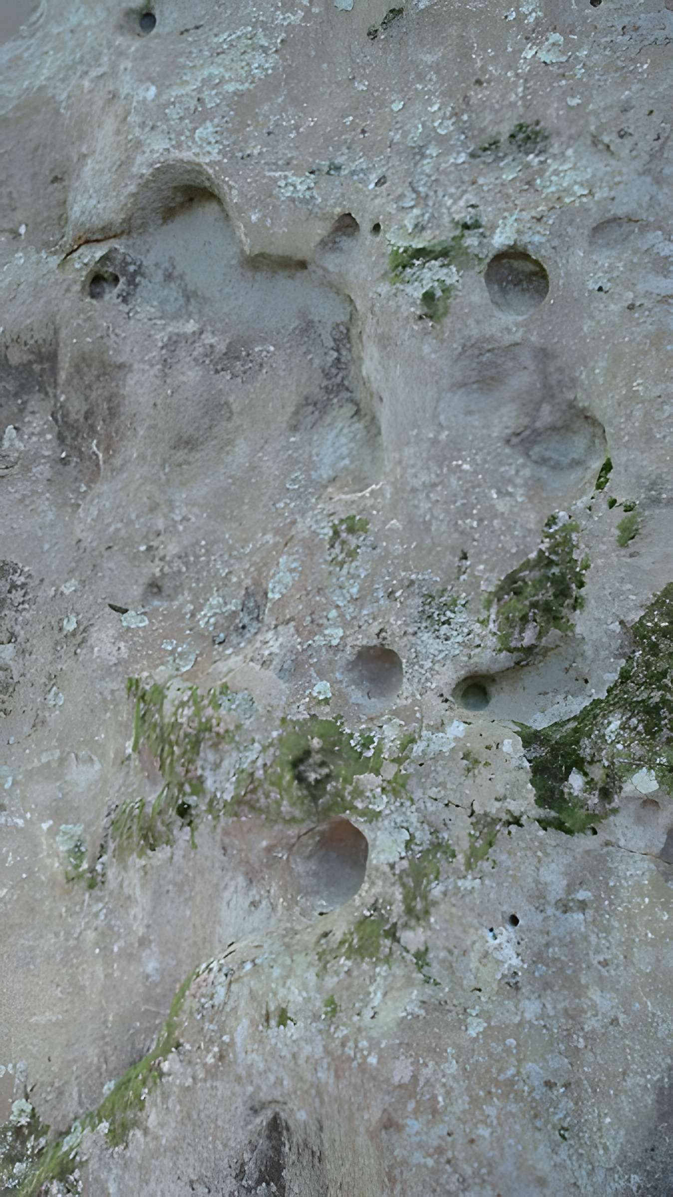 Pierre levée de Silly-en-Gouffern