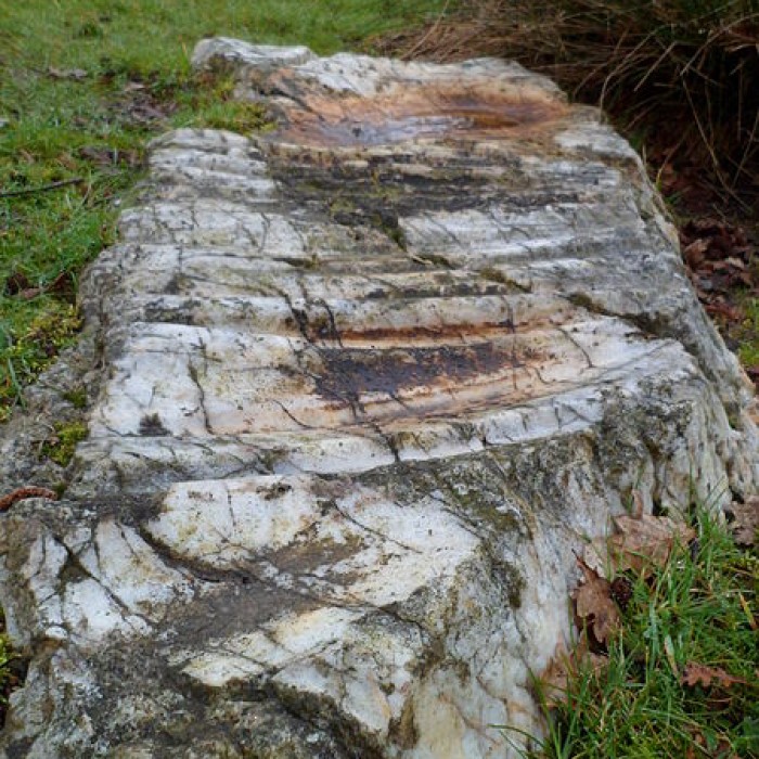 Photo de Pierre Saint-Benoit à Saint-James