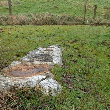 Pierre Saint-Benoit à Saint-James