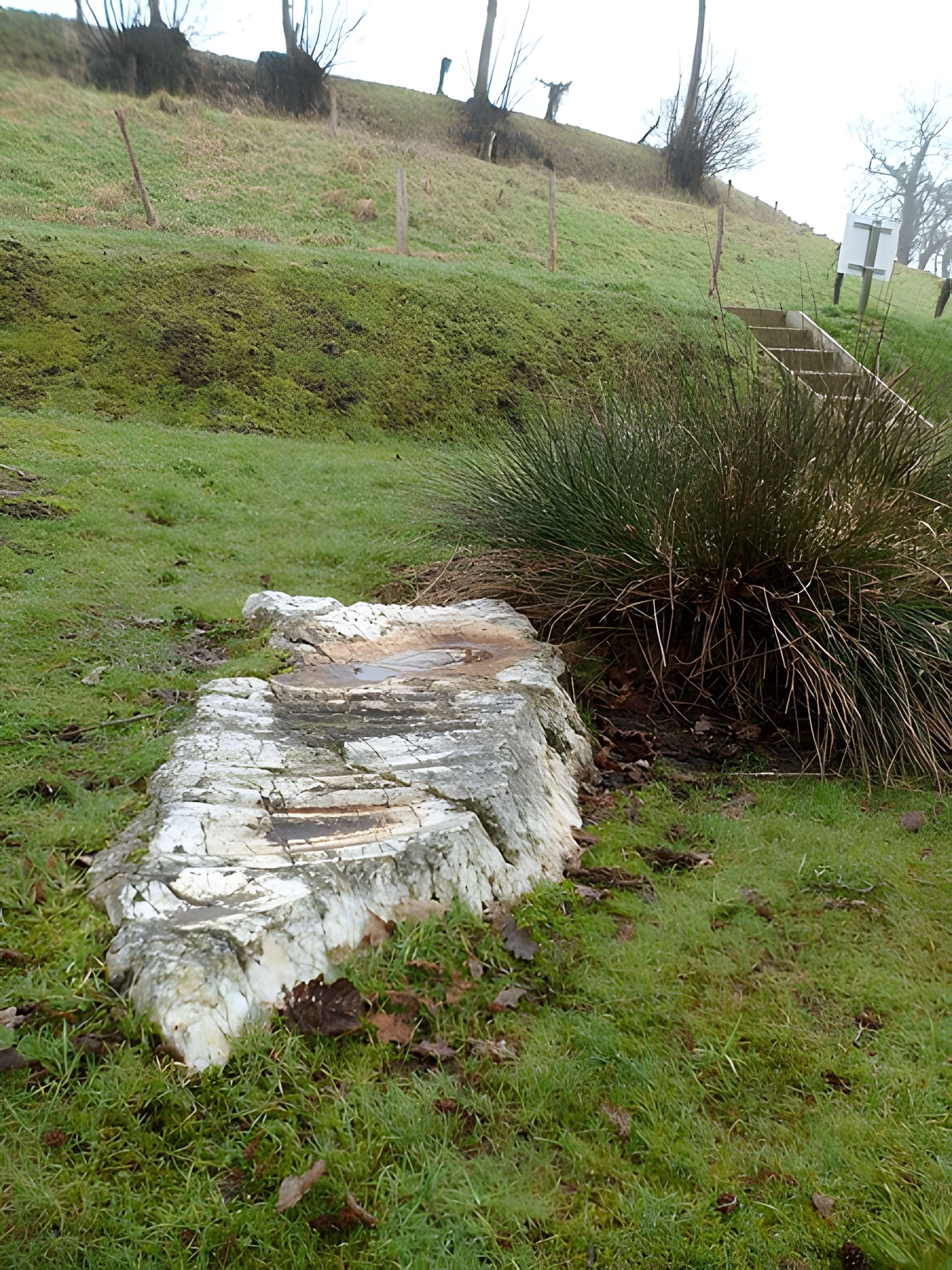 Pierre Saint-Benoit à Saint-James