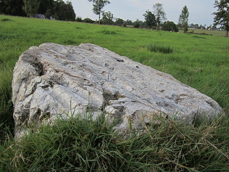Photo de Pierre Saint-Martin de Saint-Cyr-du-Bailleul