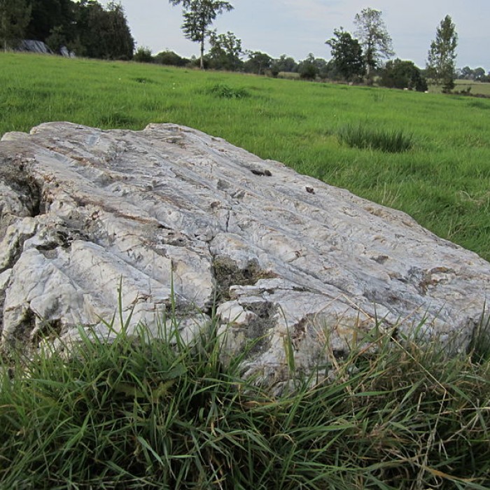 Photo de Pierre Saint-Martin de Saint-Cyr-du-Bailleul