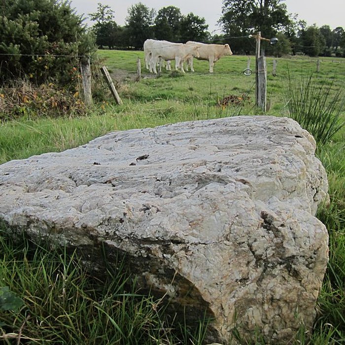 Photo de Pierre Saint-Martin de Saint-Cyr-du-Bailleul