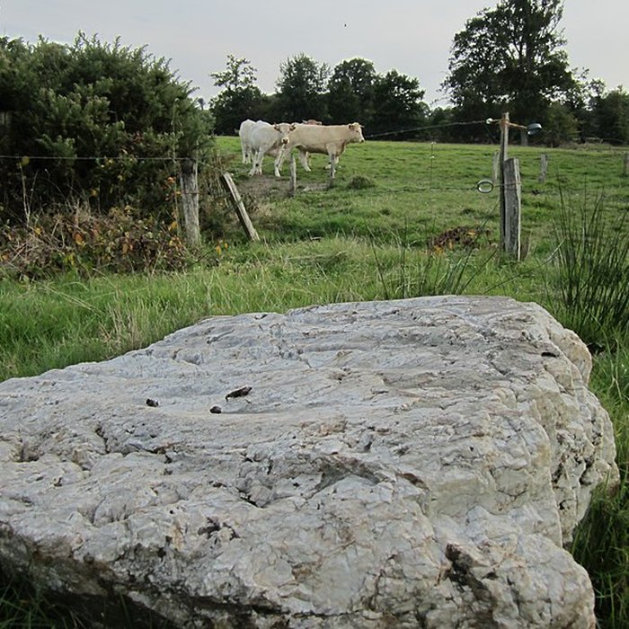 Photo de Pierre Saint-Martin de Saint-Cyr-du-Bailleul