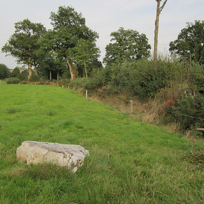 Photo de Pierre Saint-Martin de Saint-Cyr-du-Bailleul