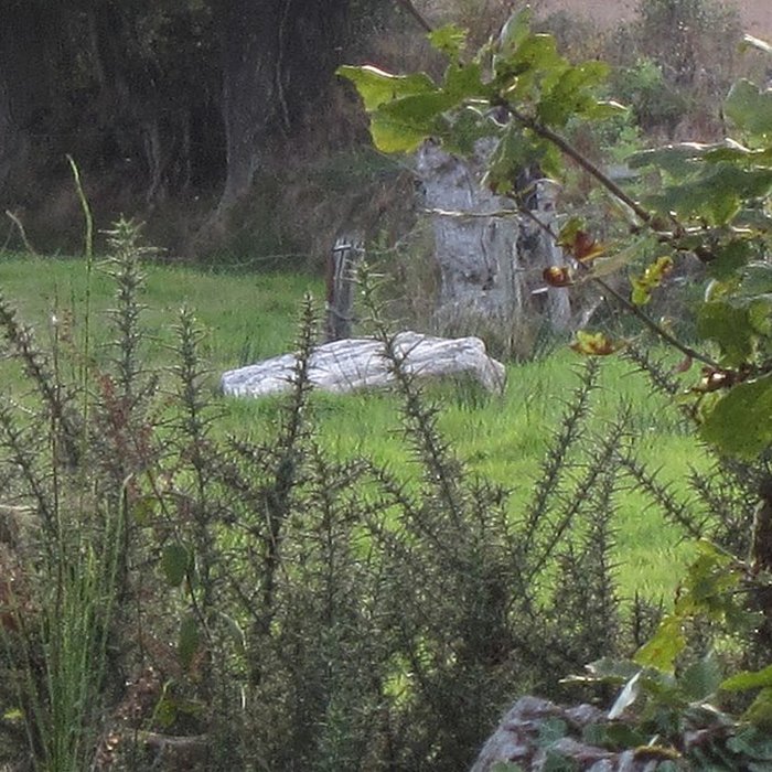 Photo de Pierre Saint-Martin de Saint-Cyr-du-Bailleul