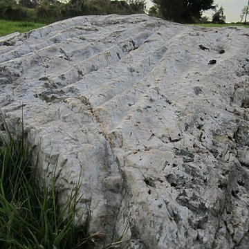 Pierre Saint-Martin de Saint-Cyr-du-Bailleul