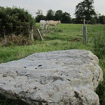 Pierre Saint-Martin de Saint-Cyr-du-Bailleul