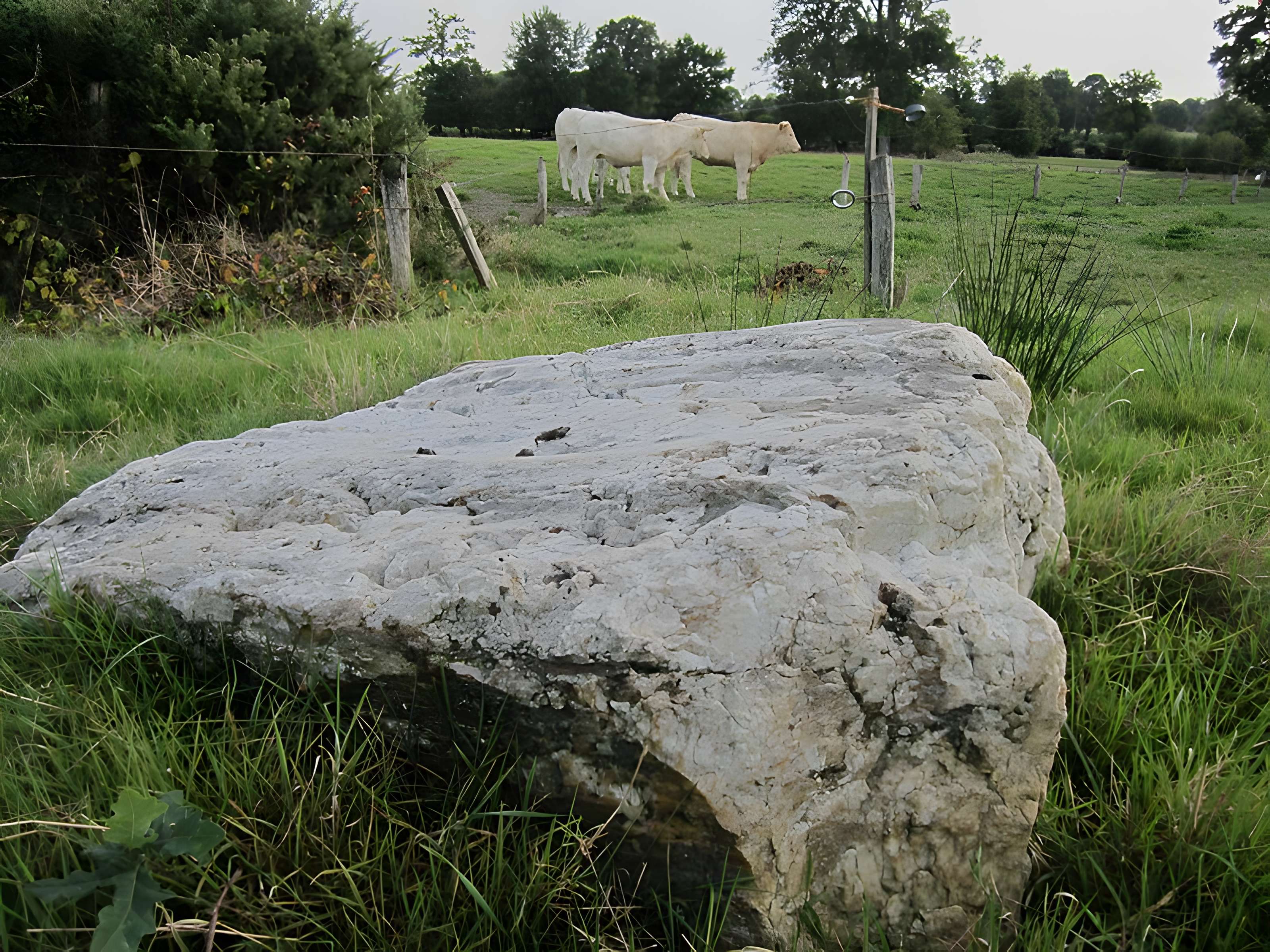 Pierre Saint-Martin de Saint-Cyr-du-Bailleul