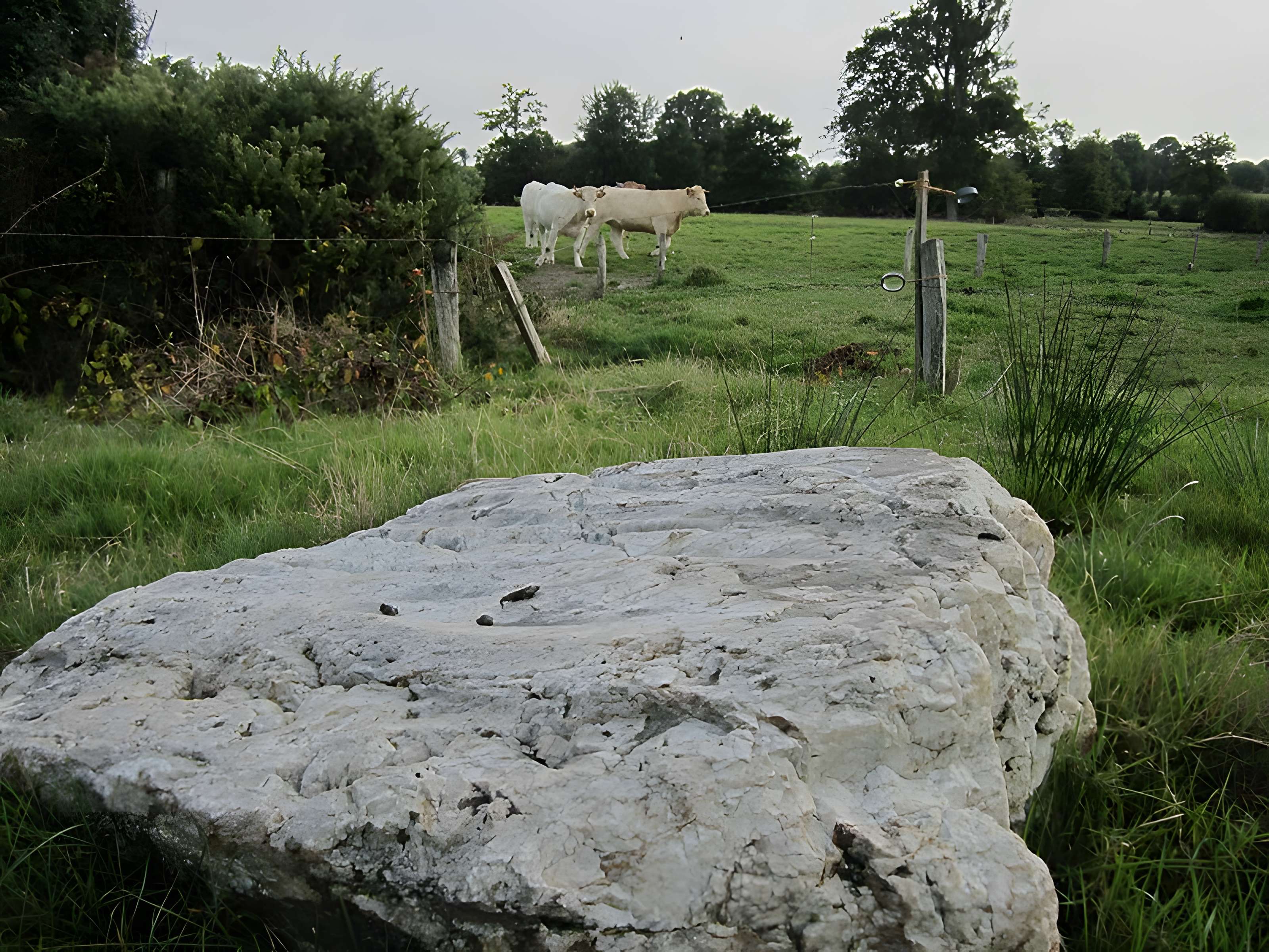 Pierre Saint-Martin de Saint-Cyr-du-Bailleul