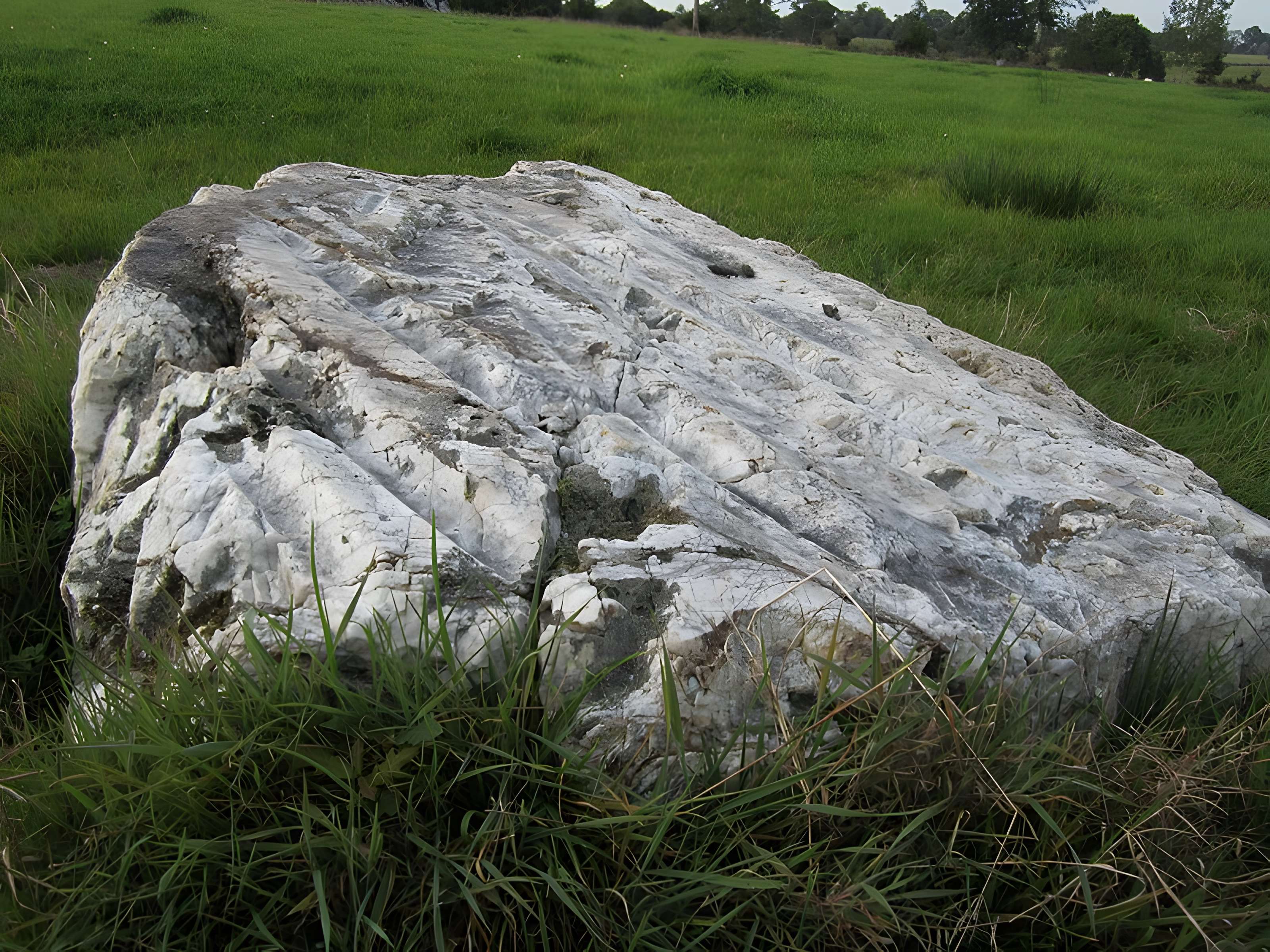 Pierre Saint-Martin de Saint-Cyr-du-Bailleul