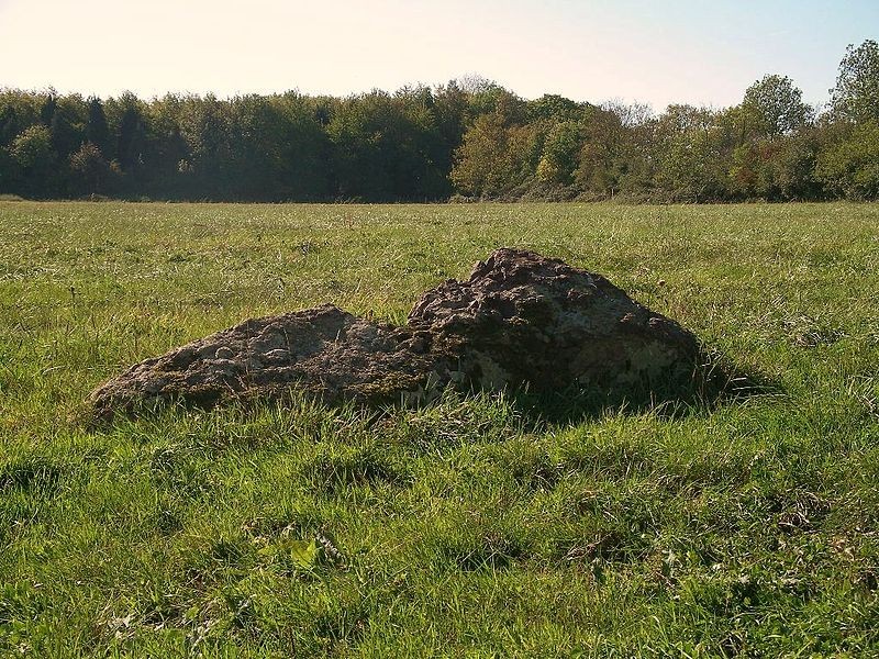 Photo de Pierre tournante de Fresney-le-Puceux