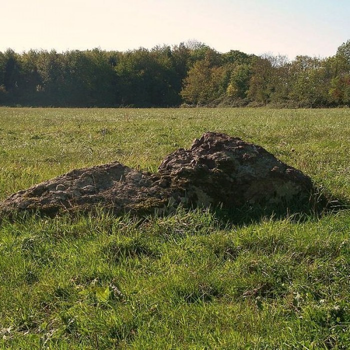 Photo de Pierre tournante de Fresney-le-Puceux