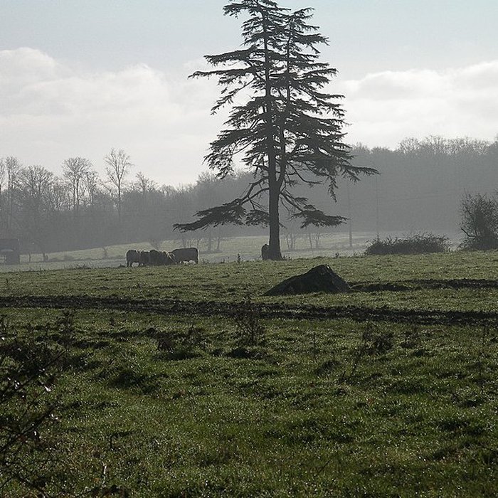 Photo de Pierre tournante de Fresney-le-Puceux
