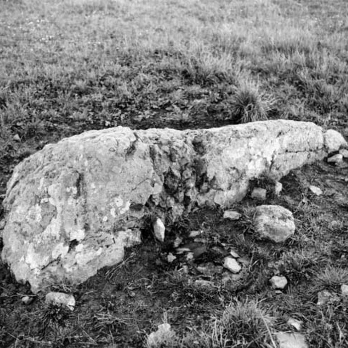 Photo de Pierre tournante de Fresney-le-Puceux