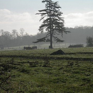 Pierre tournante de Fresney-le-Puceux