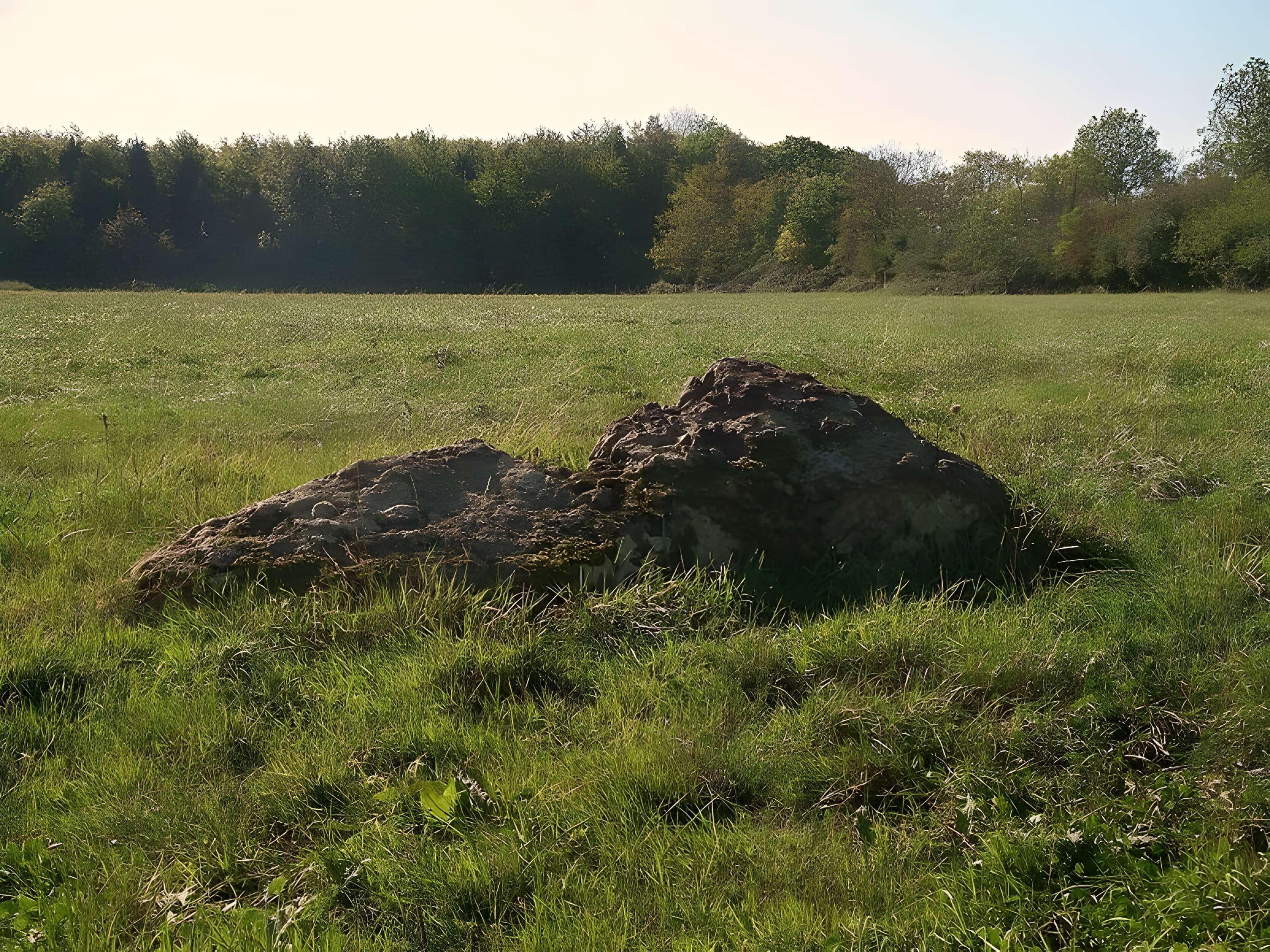 Pierre tournante de Fresney-le-Puceux 