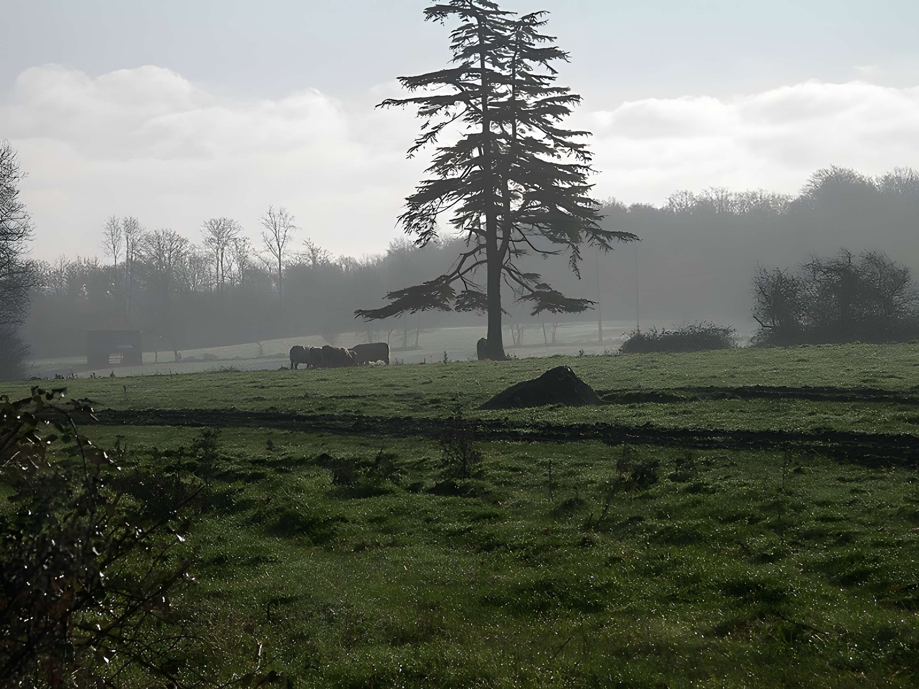 Pierre tournante de Fresney-le-Puceux