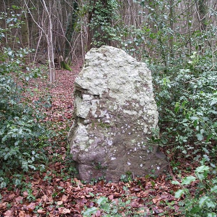 Photo de Menhir dit La Pierre Tourneresse, situé dans le parc du château dOutrelaize