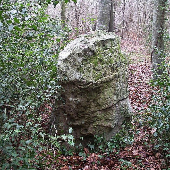 Photo de Menhir dit La Pierre Tourneresse, situé dans le parc du château dOutrelaize