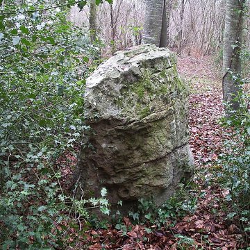 Menhir dit La Pierre Tourneresse, situé dans le parc du château dOutrelaize