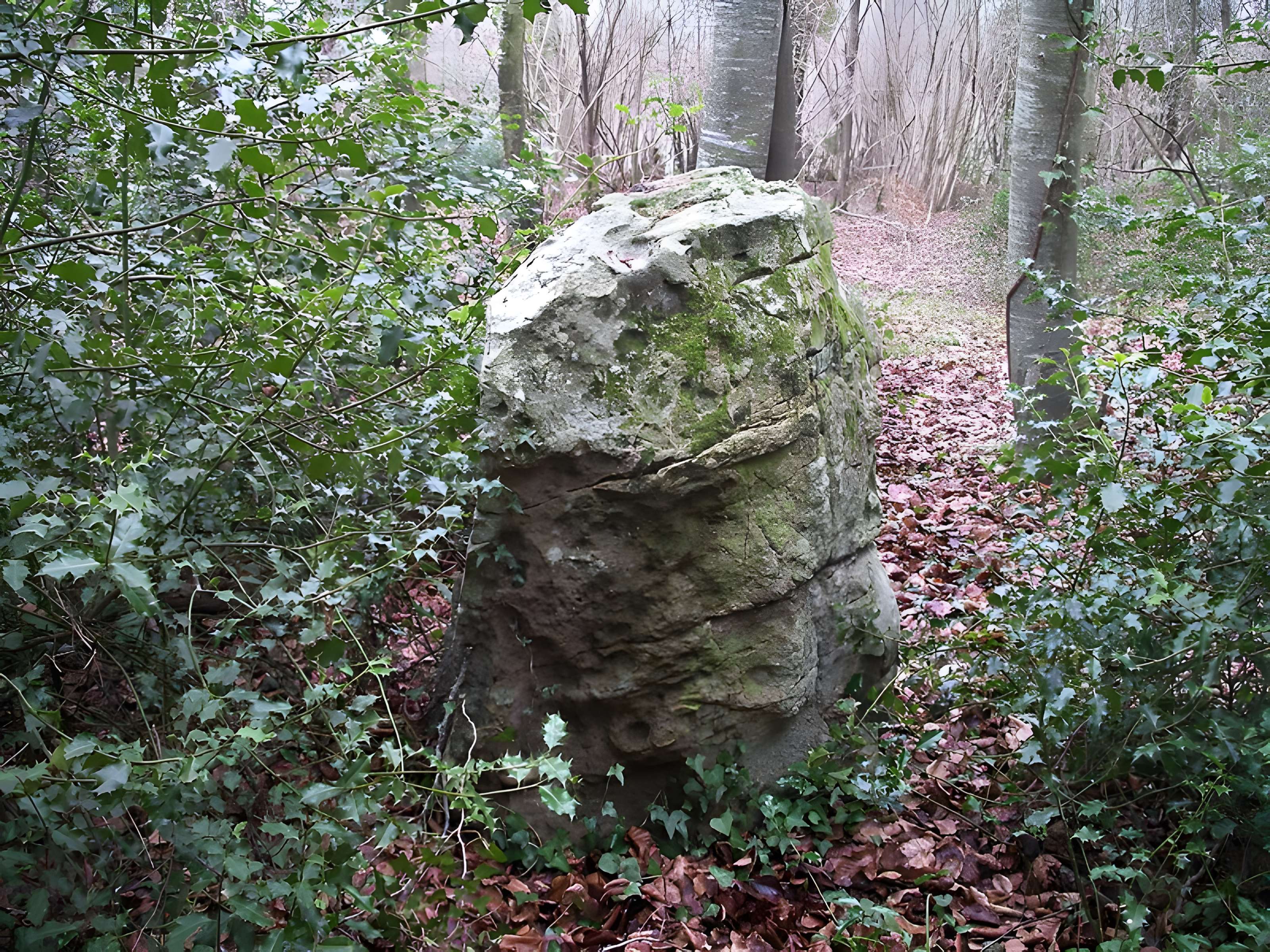 Menhir dit La Pierre Tourneresse, situé dans le parc du château d'Outrelaize