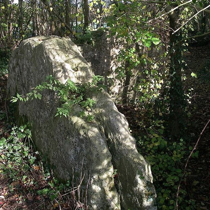 Photo de Pierres Branlantes de Biéville-Beuville