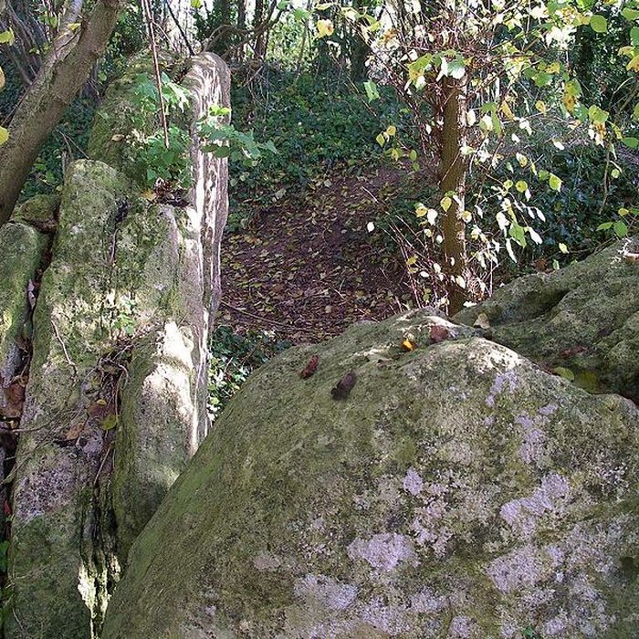 Photo de Pierres Branlantes de Biéville-Beuville