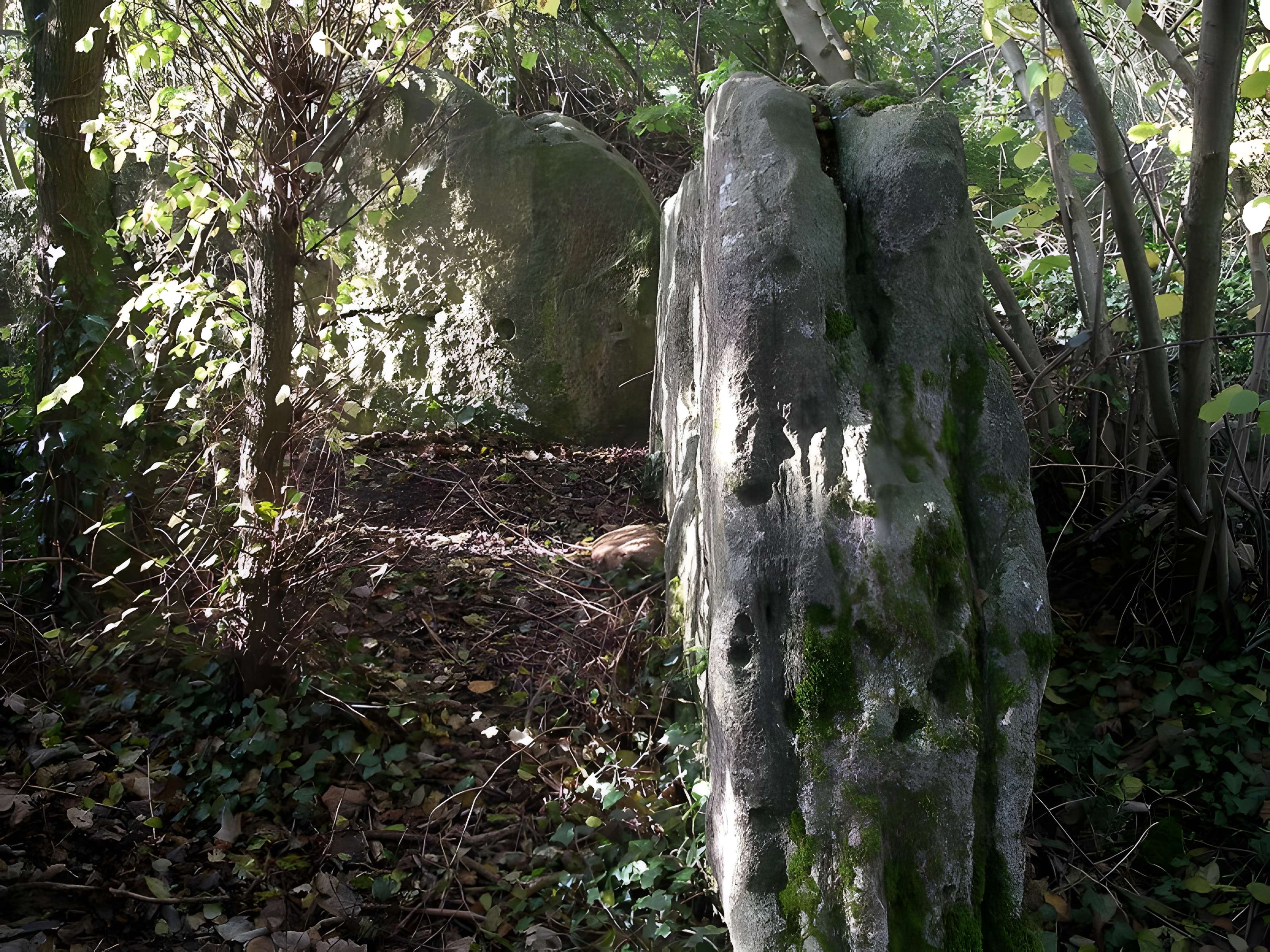 Pierres Branlantes de Biéville-Beuville 