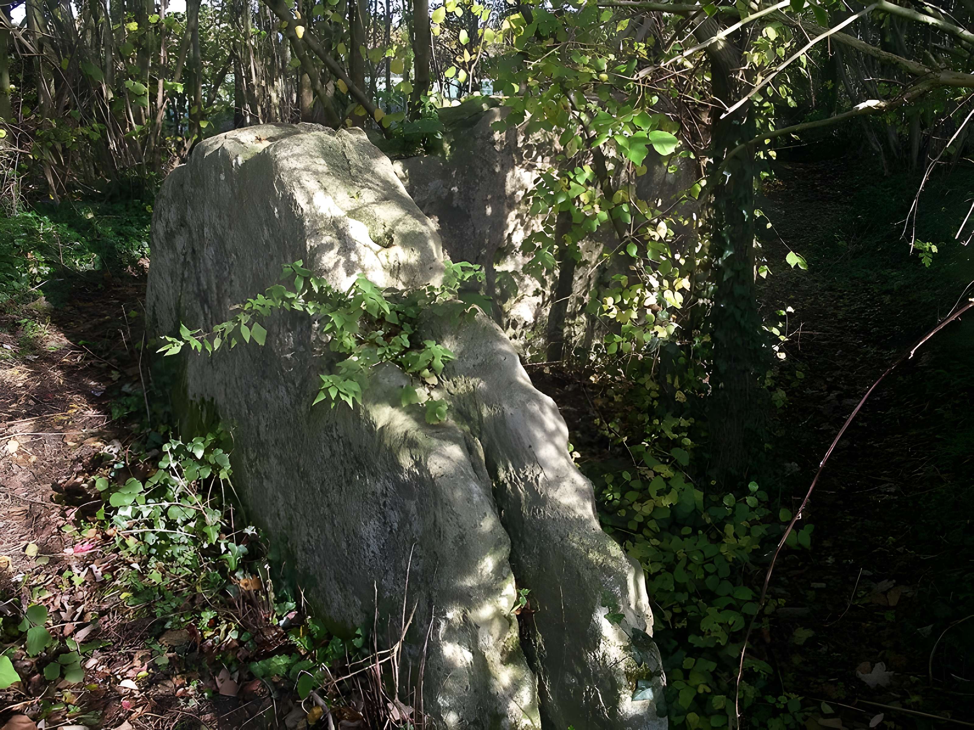 Pierres Branlantes de Biéville-Beuville