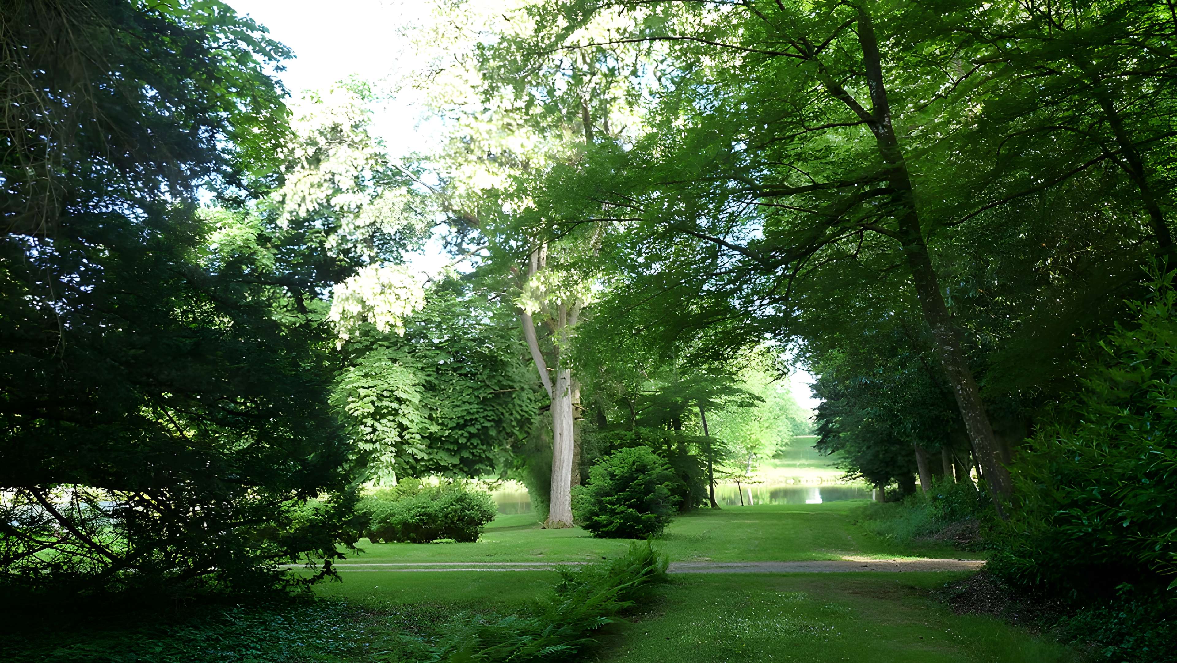 Château du Bois-Cornillé